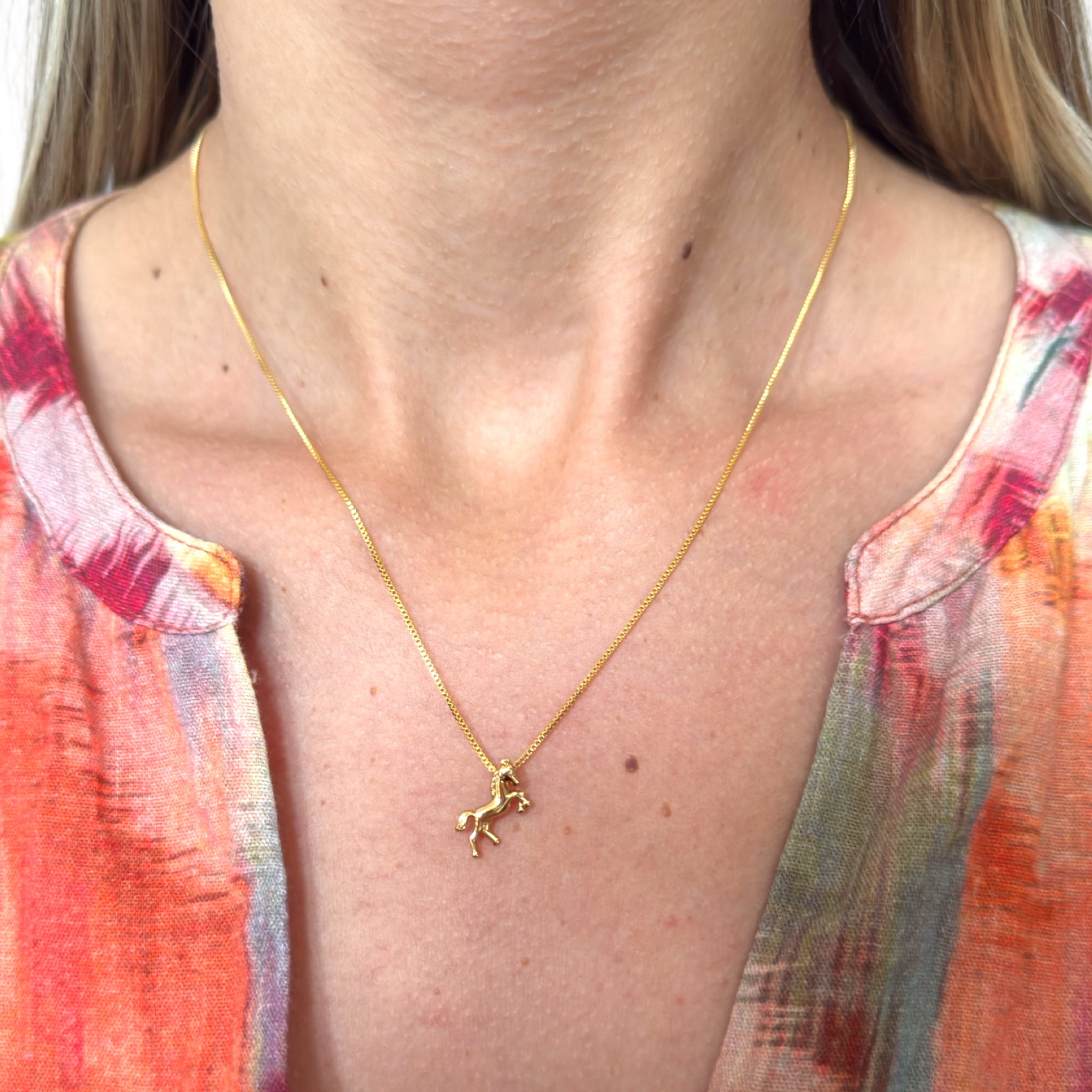 Lucky Canter Earrings and Necklace