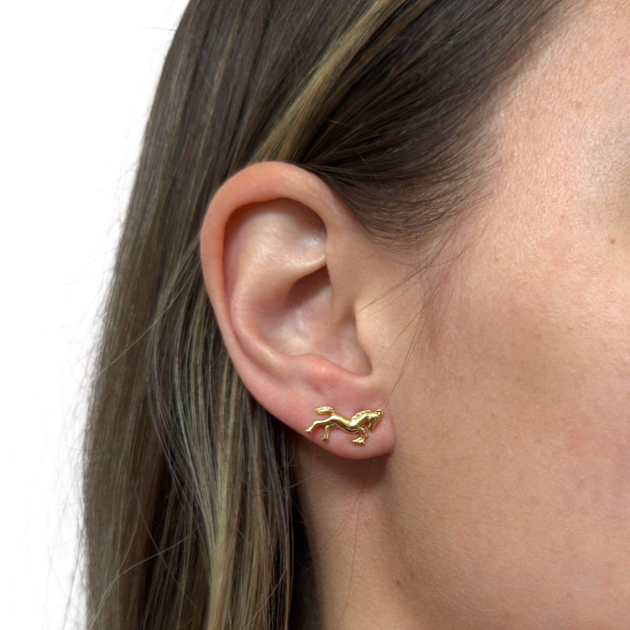 Lucky Canter Earrings and Necklace